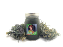 FELICITY’S AFRICAN CHLOROPHYLL MOSS WITH JAR